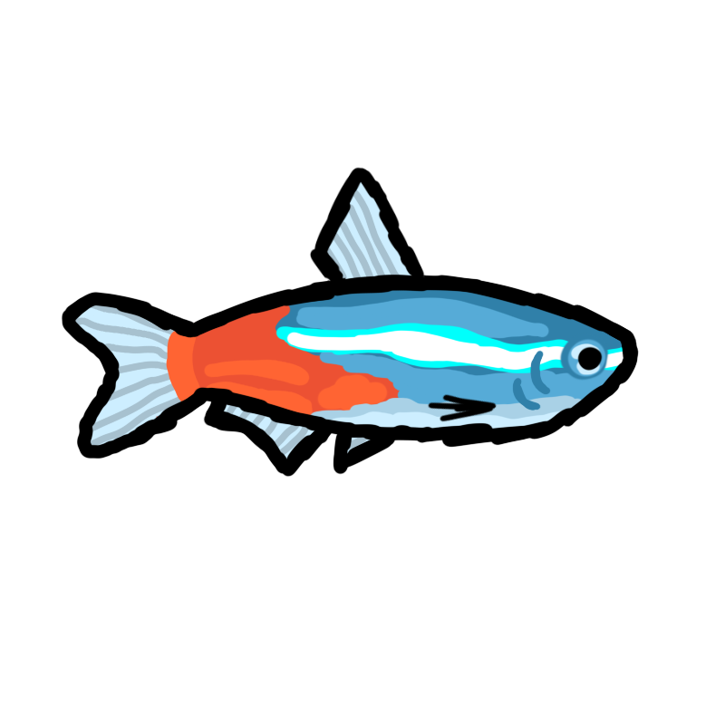 Neon Tetra
